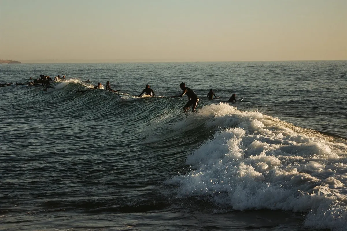 Surfeurs au coucher du soleil